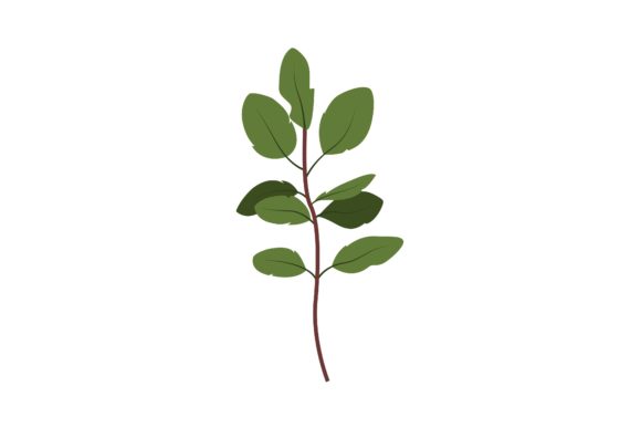 Decorative Fresh Twig Illustration: A Natural Touch for Modern Design