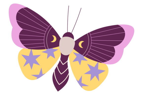Exotic Butterfly: A Decorative Summer Insect for Vibrant Designs